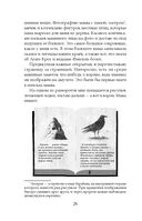 Последние ведьмы — фото, картинка — 22