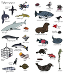 Найди и покажи. Океаны — фото, картинка — 4