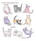 Котоляндия. Самая пушистая раскраска с заданиями внутри — фото, картинка — 6