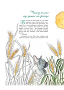 Расліны беларускай зямлі — фото, картинка — 2