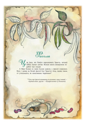 Расліны беларускай зямлі — фото, картинка — 4