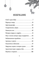 Петронелла и снежная буря — фото, картинка — 1