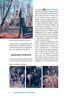 Прогулки по неизвестному Петербургу — фото, картинка — 11