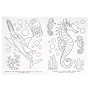 Подводный мир. Раскраска — фото, картинка — 6