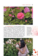Сад любимых цветов с Ларисой Кочелаевой — фото, картинка — 12