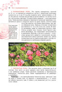 Сад любимых цветов с Ларисой Кочелаевой — фото, картинка — 13