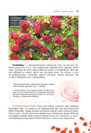 Сад любимых цветов с Ларисой Кочелаевой — фото, картинка — 14