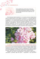 Сад любимых цветов с Ларисой Кочелаевой — фото, картинка — 15