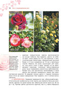 Сад любимых цветов с Ларисой Кочелаевой — фото, картинка — 9