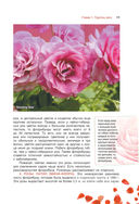Сад любимых цветов с Ларисой Кочелаевой — фото, картинка — 10
