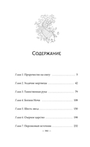 Зеркальные города-близнецы. Книга 1 — фото, картинка — 6