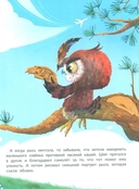 Большая мечта совенка Шипа — фото, картинка — 2