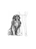 ...и чтобы рядом шла собака. Истории о дружбе, преданности и любви — фото, картинка — 14