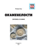 ОКАМЕНЕЛОСТИ. Летопись в камне — фото, картинка — 5