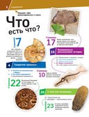 ОКАМЕНЕЛОСТИ. Летопись в камне — фото, картинка — 6