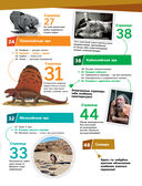 ОКАМЕНЕЛОСТИ. Летопись в камне — фото, картинка — 7