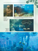 Большая книга о подводном мире. 1001 фотография — фото, картинка — 13