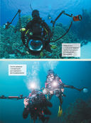Большая книга о подводном мире. 1001 фотография — фото, картинка — 15