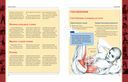 Анатомия силовых упражнений для мужчин и женщин — фото, картинка — 6