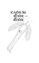 Золотой воскресник — фото, картинка — 7