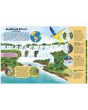 Удивительные животные и где они обитают — фото, картинка — 4