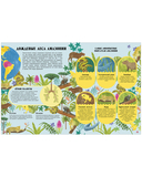 Удивительные животные и где они обитают — фото, картинка — 5