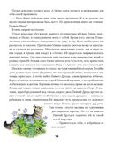 Приключения кошки Нюси в Крыму. Таинственный полуостров — фото, картинка — 5