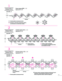 Японское ажурное вязание крючком. 100 великолепных дизайнов — фото, картинка — 9