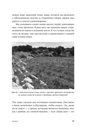 Происхождение вкусов. Как любовь к еде сделала нас людьми — фото, картинка — 17