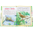 Сказки и рассказы о животных — фото, картинка — 1