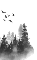 Кастильмо. Город сгоревшей магии — фото, картинка — 1