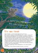 Я коала — фото, картинка — 1