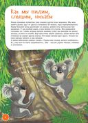 Я коала — фото, картинка — 6