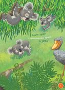 Я коала — фото, картинка — 7