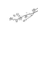 Помни меня — фото, картинка — 1