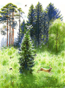 Сказочная новогодняя книга — фото, картинка — 10