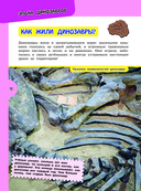 Большая энциклопедия для любознательных девчонок — фото, картинка — 12