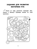 Тетрадь-репетитор: задания для коррекции и профилактики дислексии и дисграфии у младших школьников — фото, картинка — 5