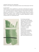 Акварель — фото, картинка — 19