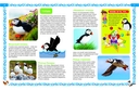 Большая книга о птицах — фото, картинка — 1