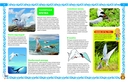 Большая книга о птицах — фото, картинка — 2