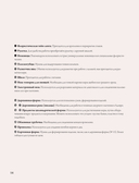 Плетение из лозы. 150 японских техник. Основы, техники, узоры, мастер-классы — фото, картинка — 14