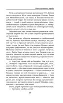 Коты туманного города — фото, картинка — 58