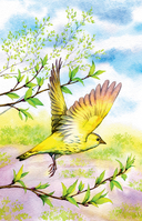 Знакомые следы — фото, картинка — 5