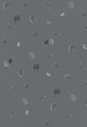 Bastard. Сволочь. Том 2 — фото, картинка — 8