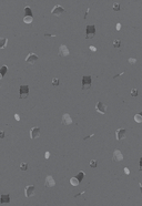 Bastard. Сволочь. Том 2 — фото, картинка — 9