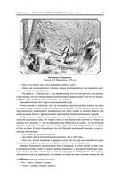 Гималаи, Сибирь, Америка: Мои пути и дороги. Очерки, наброски, воспоминания — фото, картинка — 62