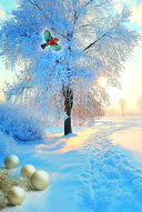 365 пожеланий от Дарьи Донцовой — фото, картинка — 2