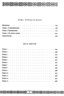 Путь озарения — фото, картинка — 2