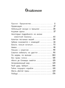 Тайна тонущего корабля — фото, картинка — 4